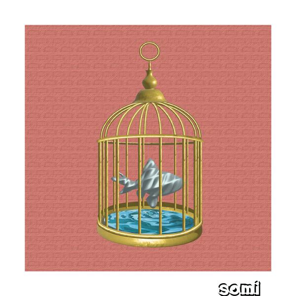 Image Cover